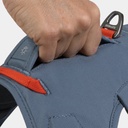 Web Master Harness Slate Blue