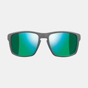 Shield Spectron 3 Gris / Vert