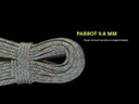 Parrot 9.8mm assorted colours