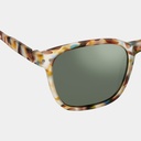 Sun Nautic Polarized Blue Tortoise