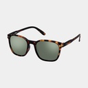 Sun Nautic Polarized Tortoise