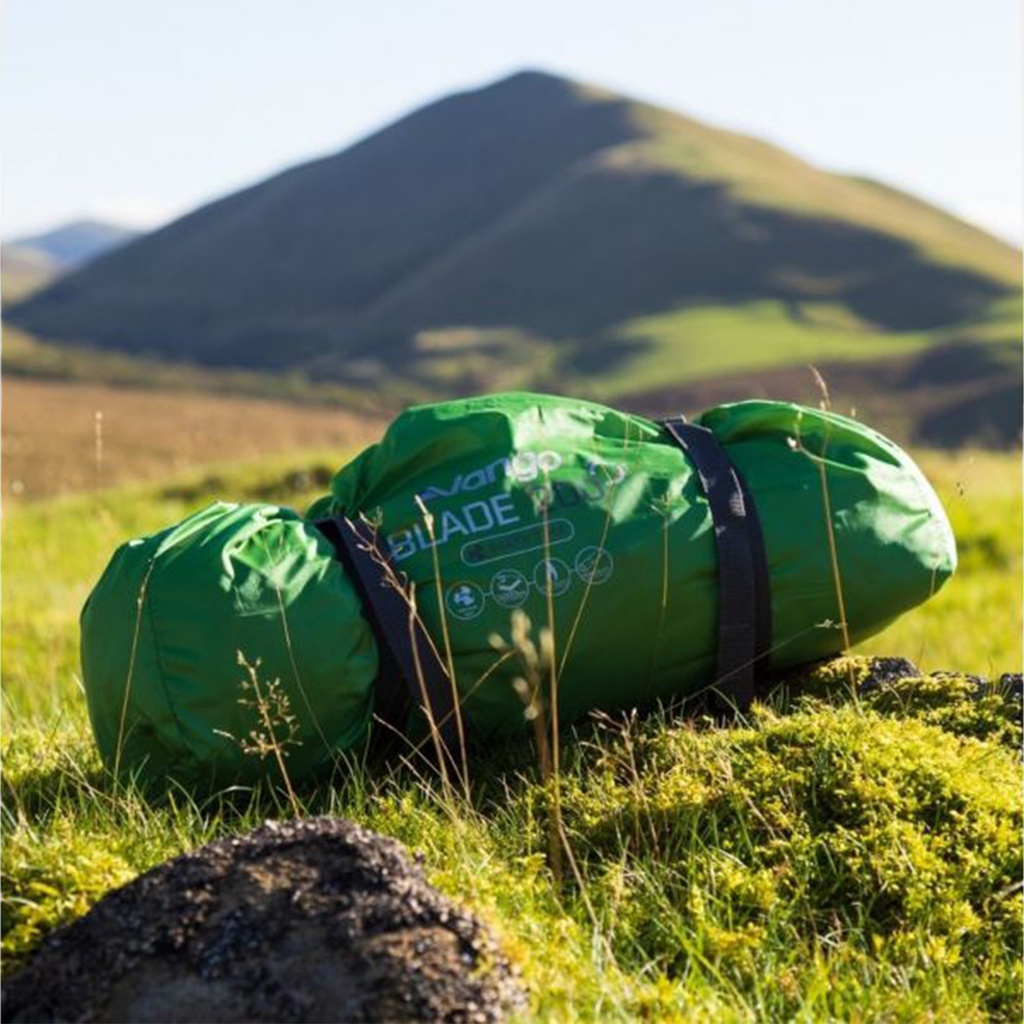 Blade 200 Pamir Green