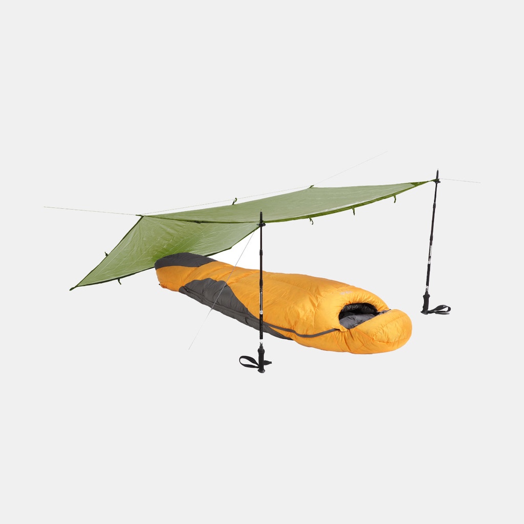 Siltarp 3 (2022) Olive