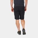 Torque Mountain Shorts Beluga / Black