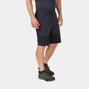 Torque Mountain Shorts Beluga / Black