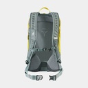 AC Lite 17 (2021) Green Curry/Teal