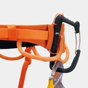 Hirundos (2022) Orange