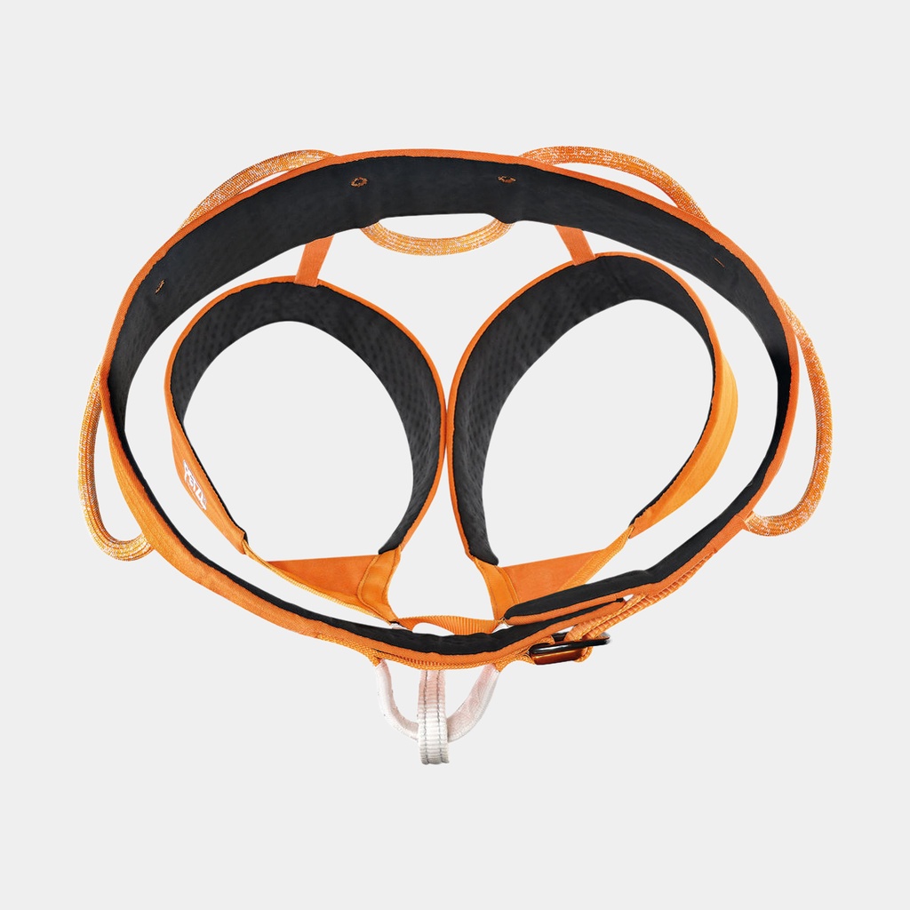 Hirundos (2022) Orange