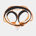 Hirundos (2022) Orange