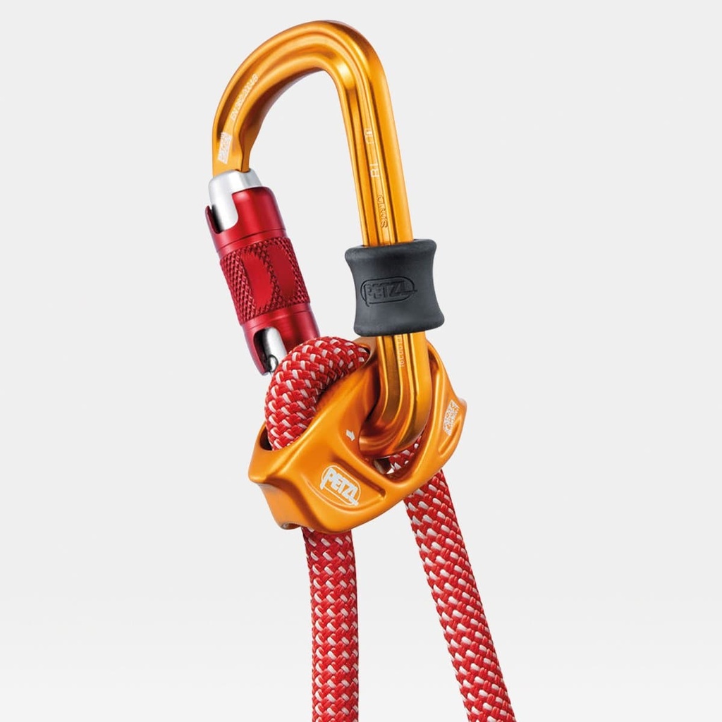 Dual Connect Vario (2021)
