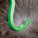 Tick Remover