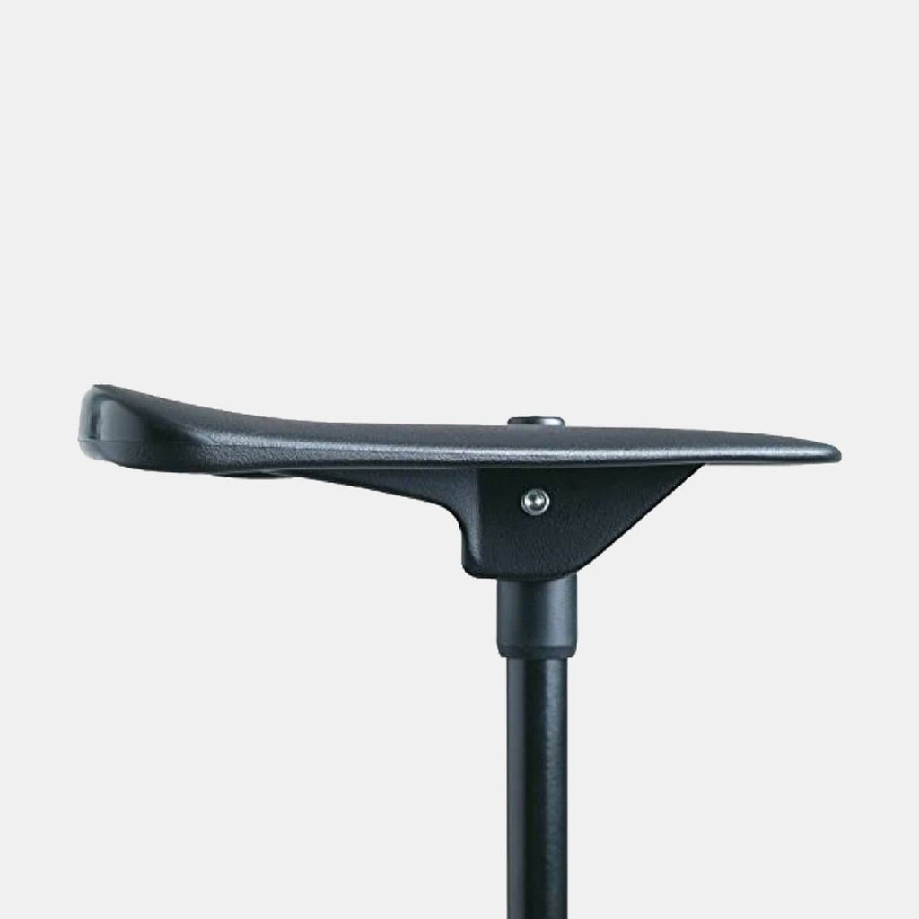 Sitting / Walking Stick Nr.2 (copie)