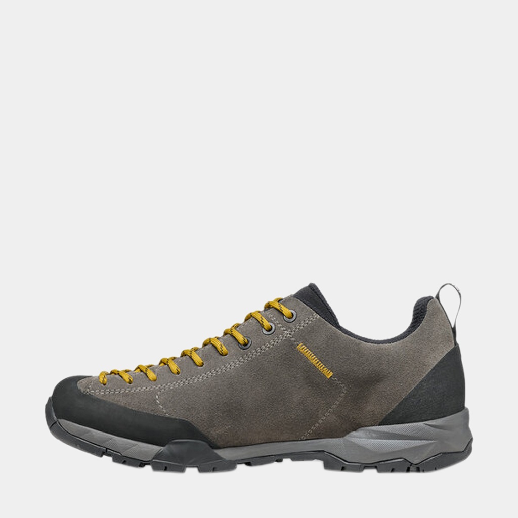 Mojito Trail GTX (2023) Titanium / Mustard