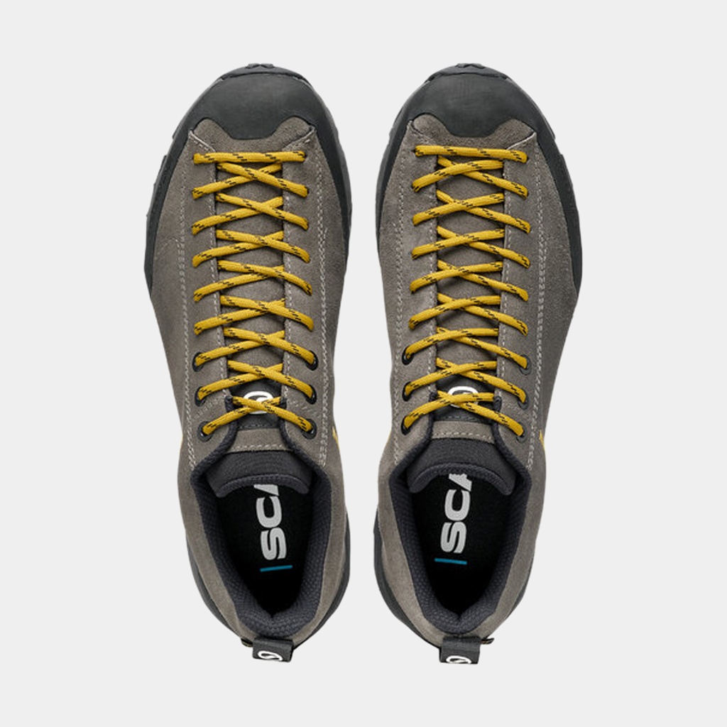 Mojito Trail GTX (2023) Titanium / Mustard