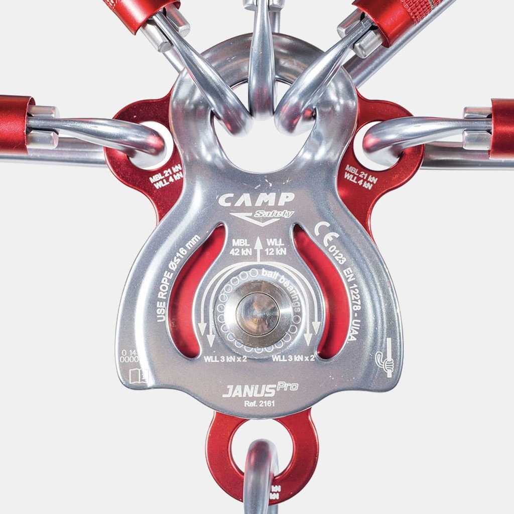 Janus Pro