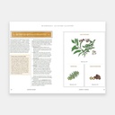 Bushcraft Illustré - Le Guide Visuel