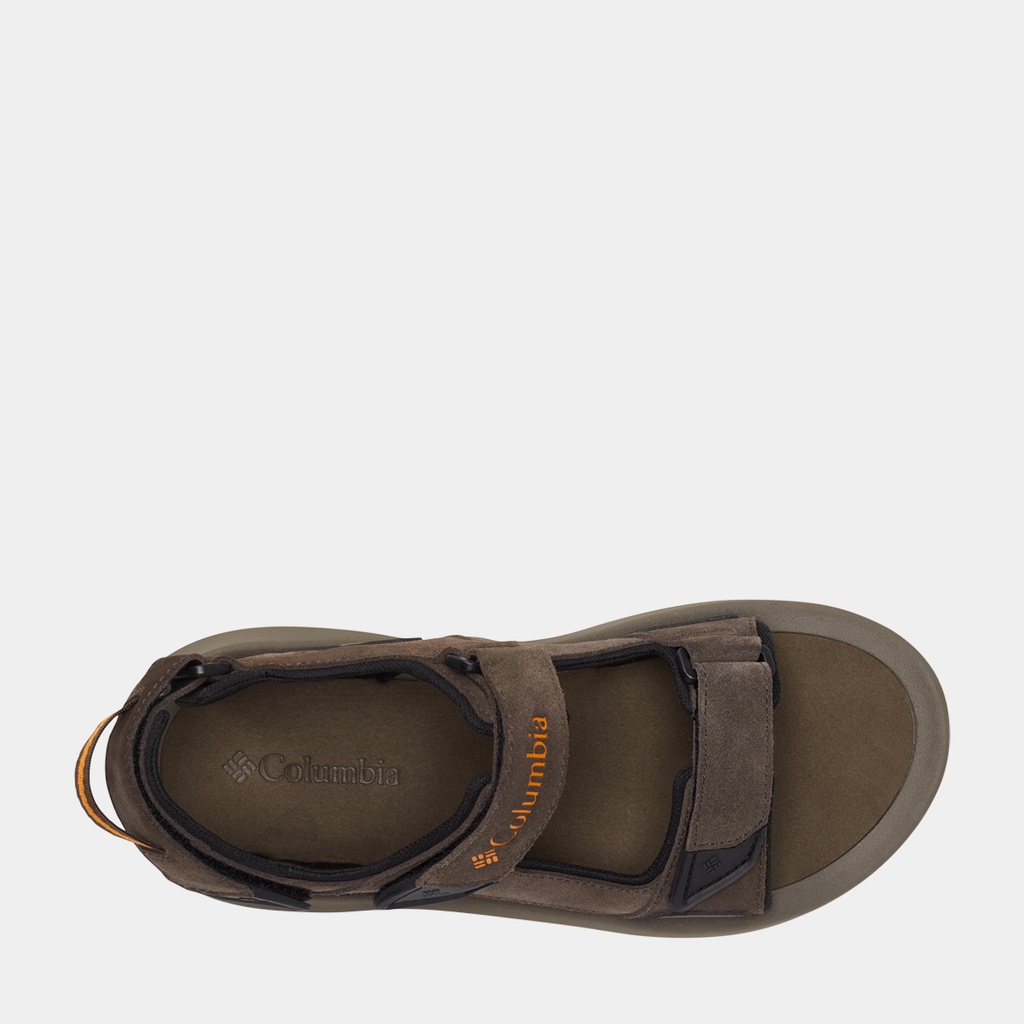  TrailStorm Hiker 3 Straps Cordovan / Gold
