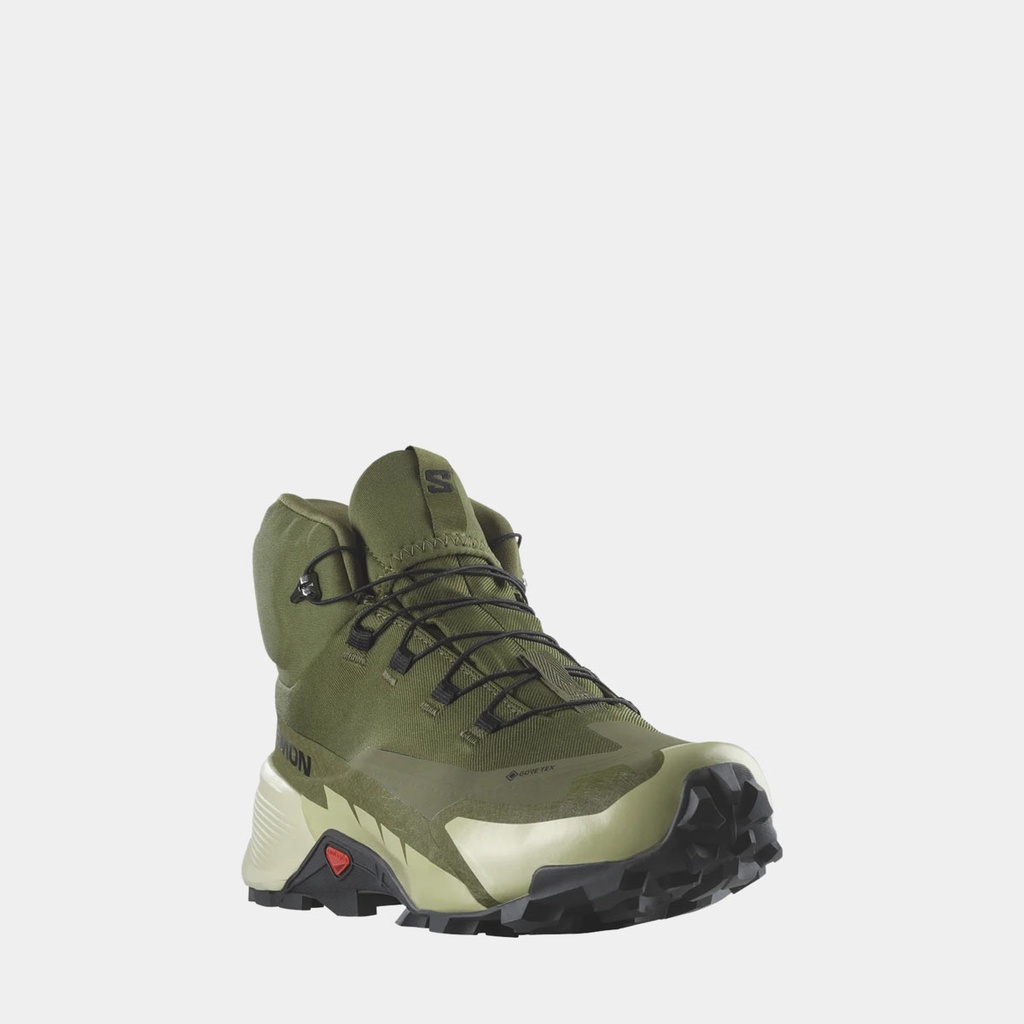 Cross Hike 2 Mid GTX (2022) Olive Night / Moss Gray / Black