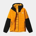 Summit L3 50 Summit Gold-TNF Black