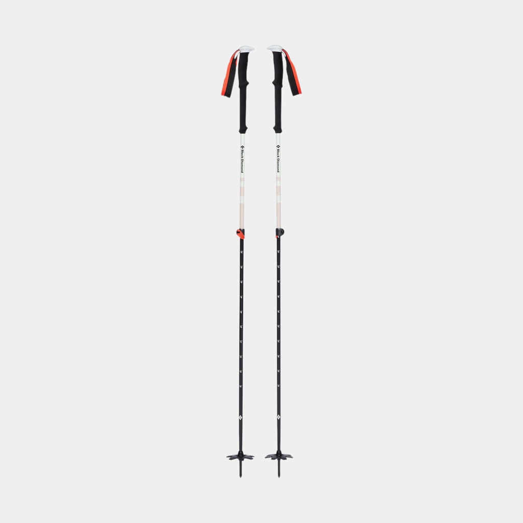 Expedition 2 Ski Poles (Nouvelle version)