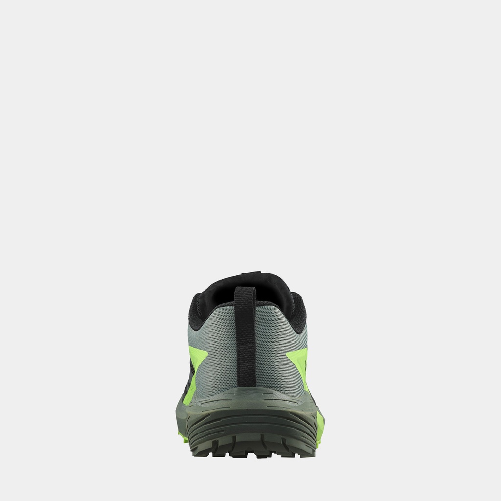 Sense Ride 5 (2023) Black / Laurel Wreath / Green Gecko