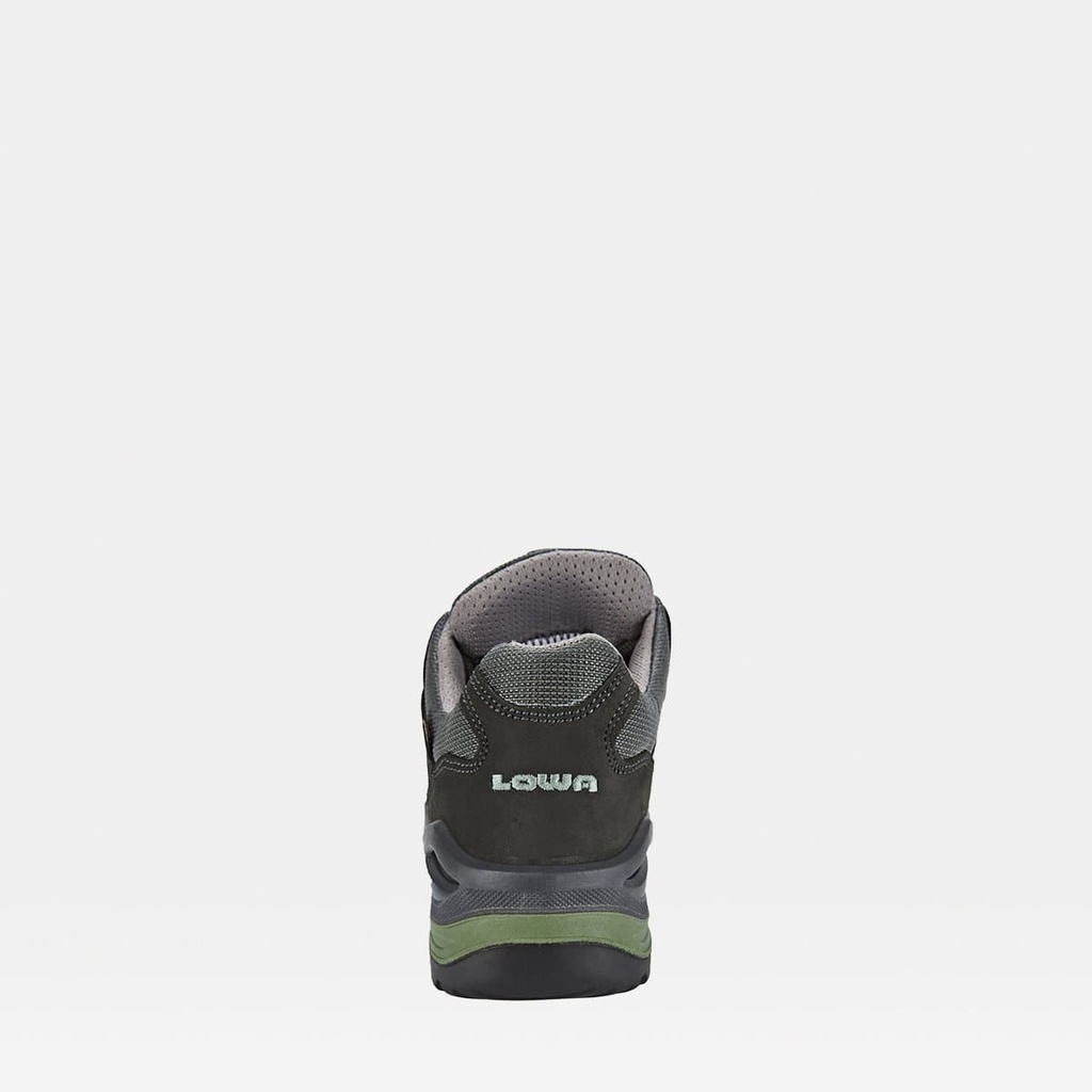 Renegade GTX Lo Women Graphite / Jade