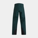 Vislight Gore-Tex Pro Pants (2022) Scarab Green