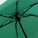 Dainty Green
