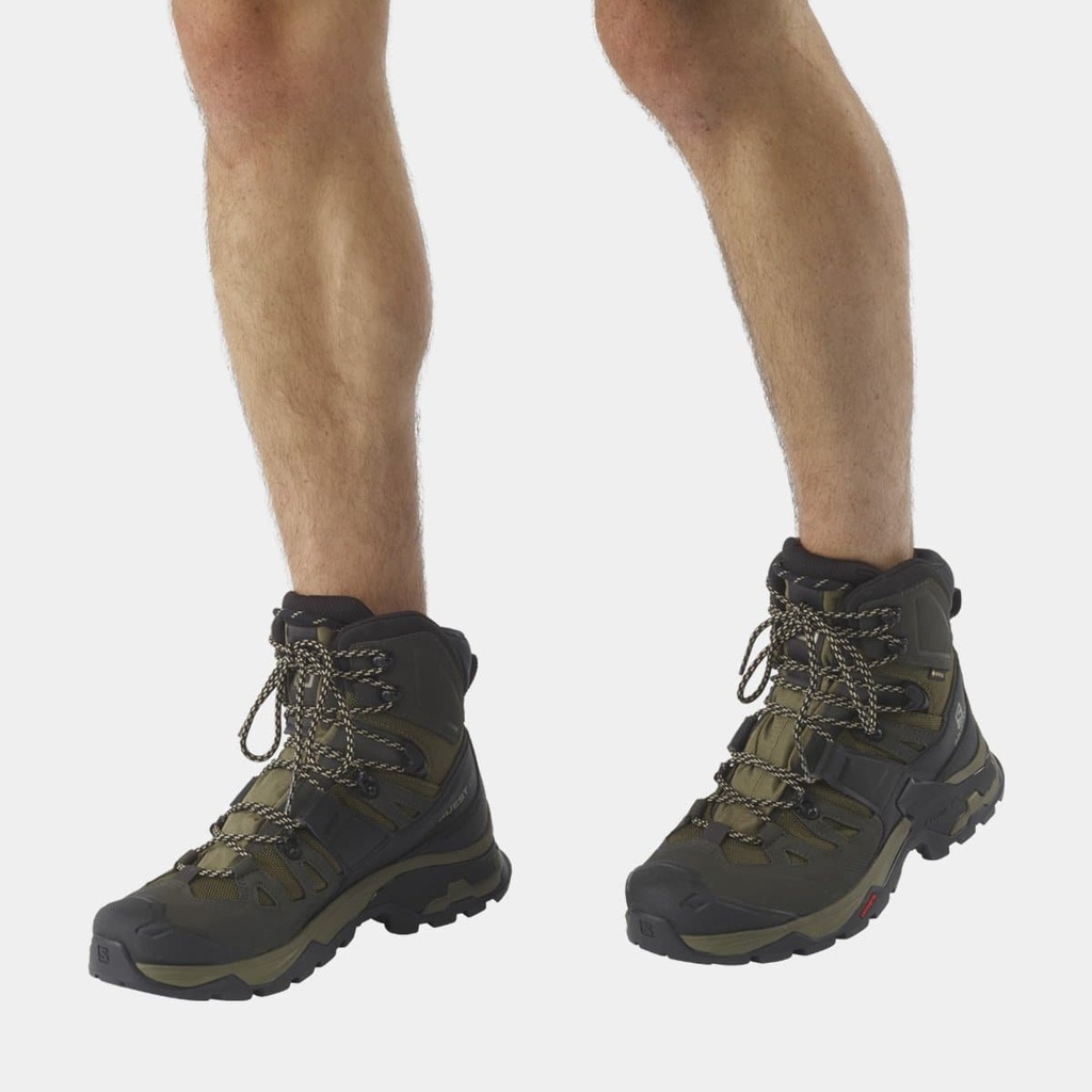 Quest 4 GTX (2021) Olive Night / Peat / Safari
