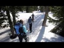 Revo Explore Chartreuse