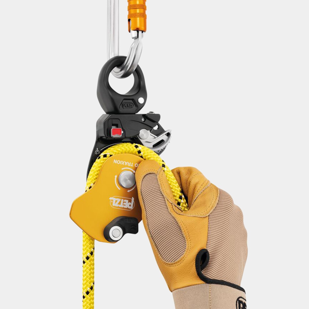 Pro Traxion (2023)