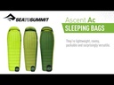 Ascent AcI Lime / Moss