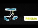 Prisma Icemint