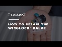 WingLock Valve Repair Kit