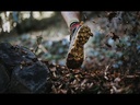 Kaptiva Neon / Goji