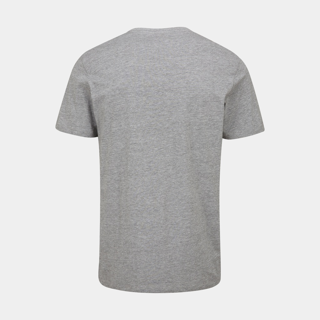 Stance Alpine Peak Tee Grey Marl