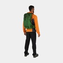 Talon 22 (2021) Green Belt / Black
