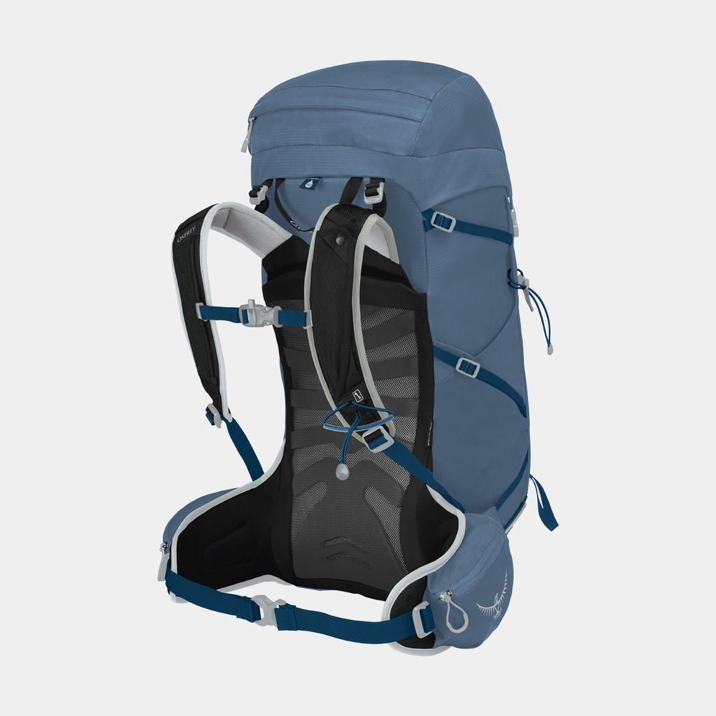 Talon 22 (2021) Green Belt / Black