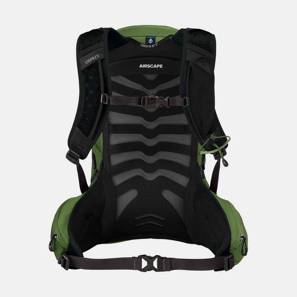 Talon 11 (2021) Green Belt / Black