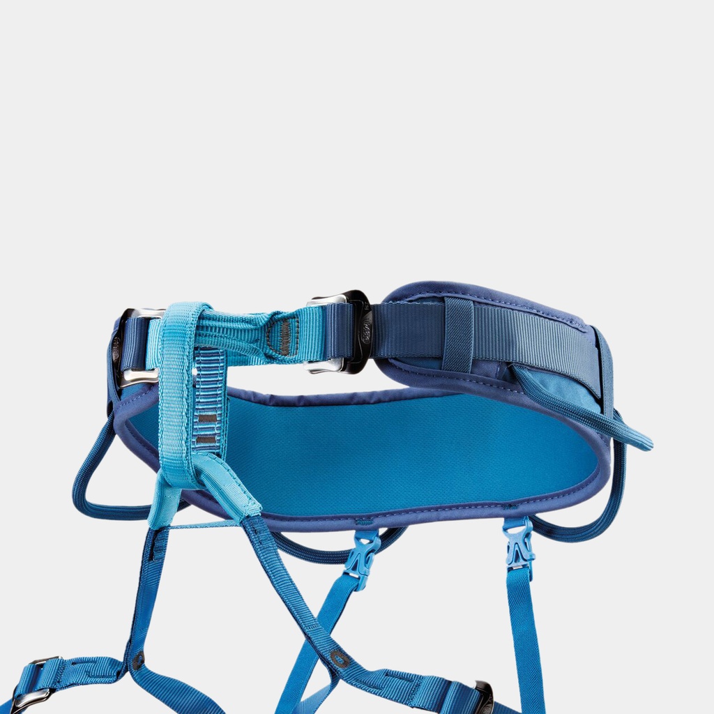 Corax (2024) Dark Red