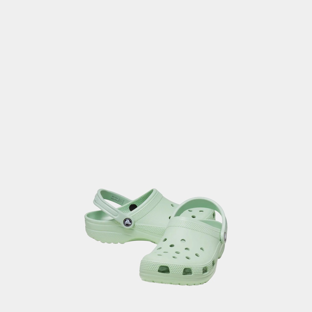 Classic Clog Crocs Plaster