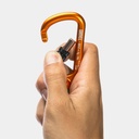 Rotor Screw Lock