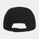 Bird Word Cap 24K Black