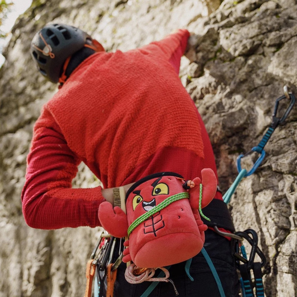 Chalk Bag Bear