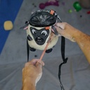Chalk Bag Bear