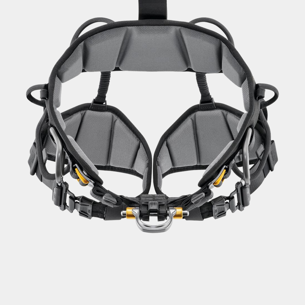 Astro Bod Fast European Version Black / Yellow