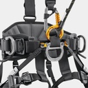 Avao Fast International Version Black / Yellow