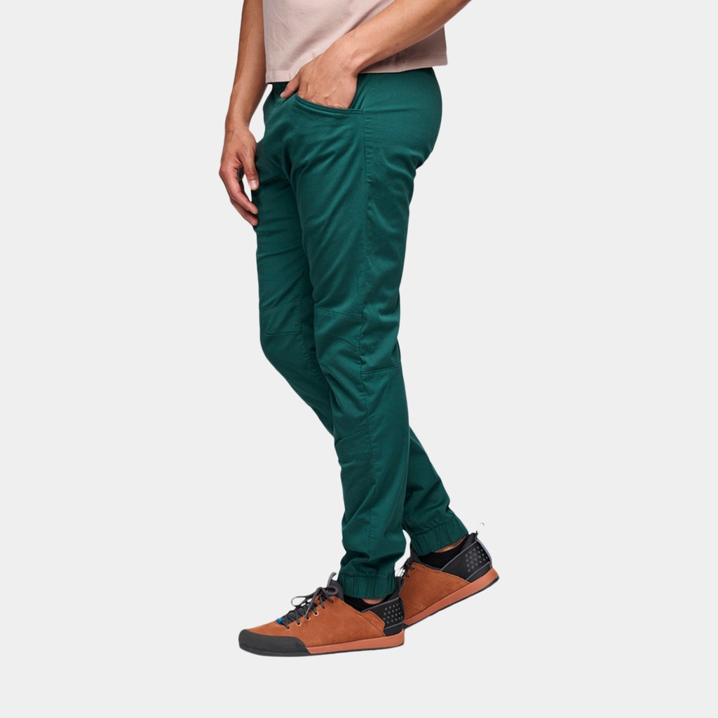 Notion Pants (2024) Deep Forest