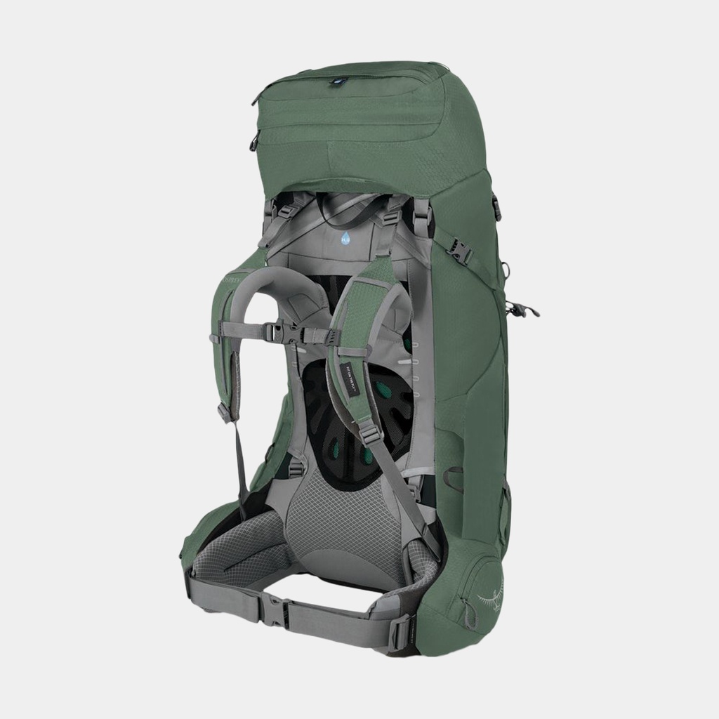 Ariel 55 Women (2021) Koseret Green