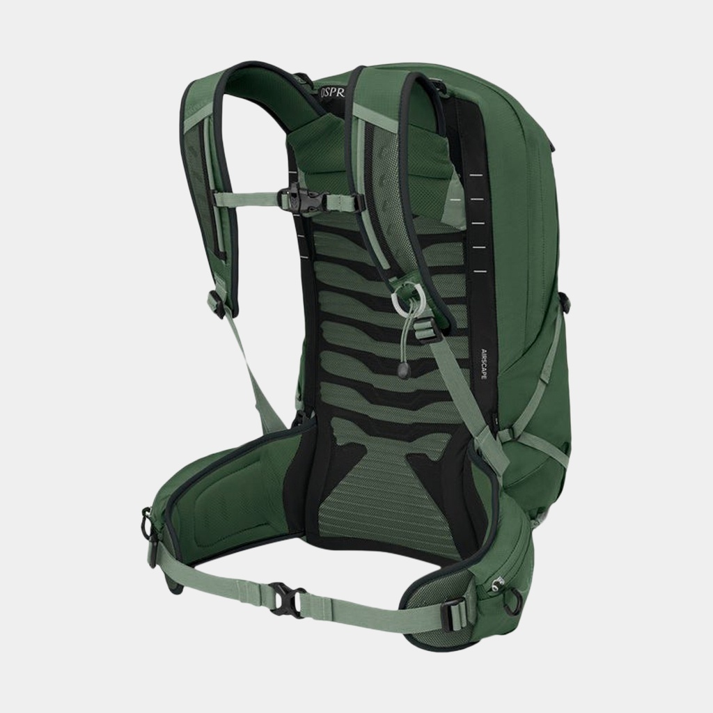 Talon 22 Green Canopy / Pine Leaf